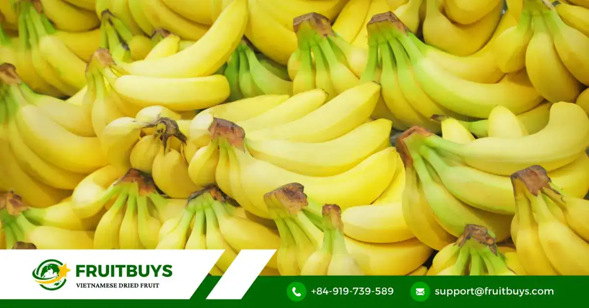 FruitBuys Vietnam Dragon Fruit Powder (2)