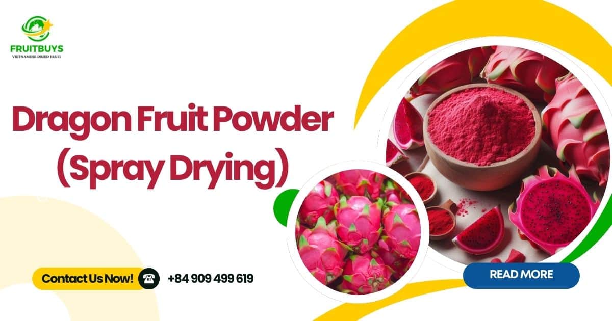 FruitBuys Vietnam Dragon Fruit Powder (Spray Drying) (1)