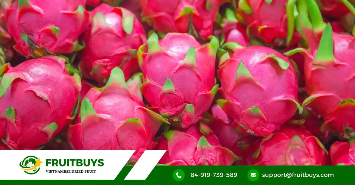 FruitBuys Vietnam Dragon Fruit