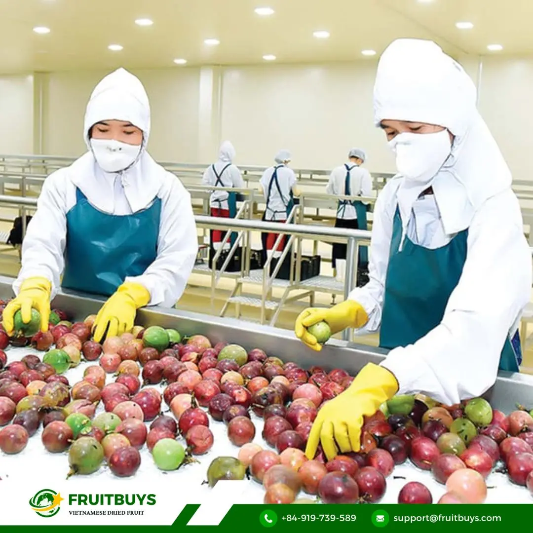 fruitbuys vietnam dried passion fruit 1 FruitBuys Vietnam Dried Passion Fruit