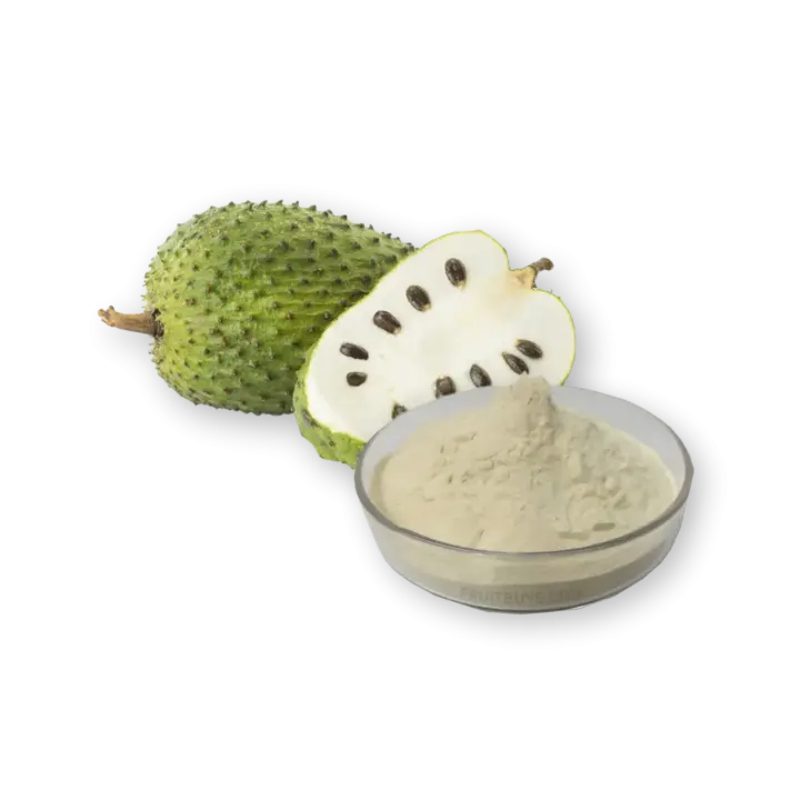 FruitBuys Vietnam Dried Soursop Powder (Spray Drying)