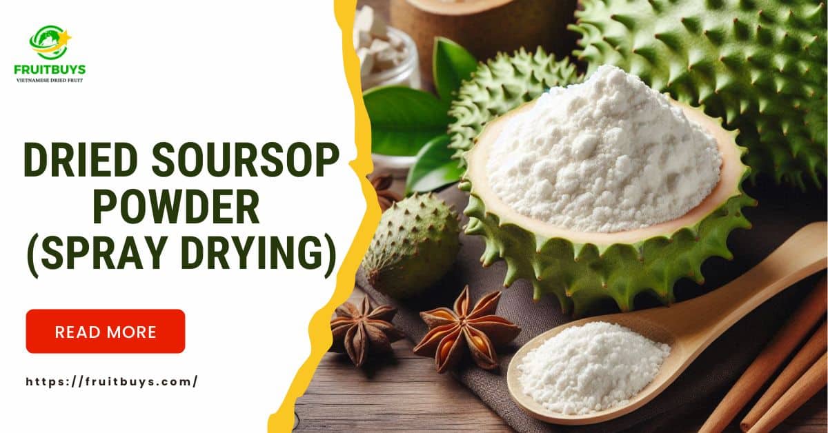 FruitBuys Vietnam Dried Soursop Powder (Spray Drying)