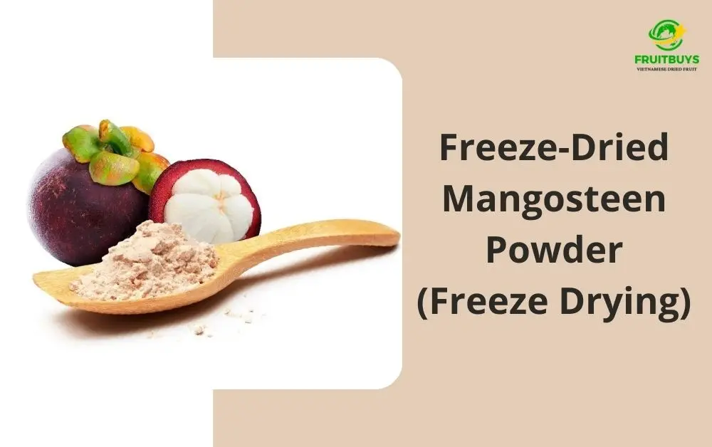 fruitbuys vietnam freeze dried mangosteen powder freeze drying FruitBuys Vietnam Freeze Dried Mangosteen Powder (Freeze Drying)