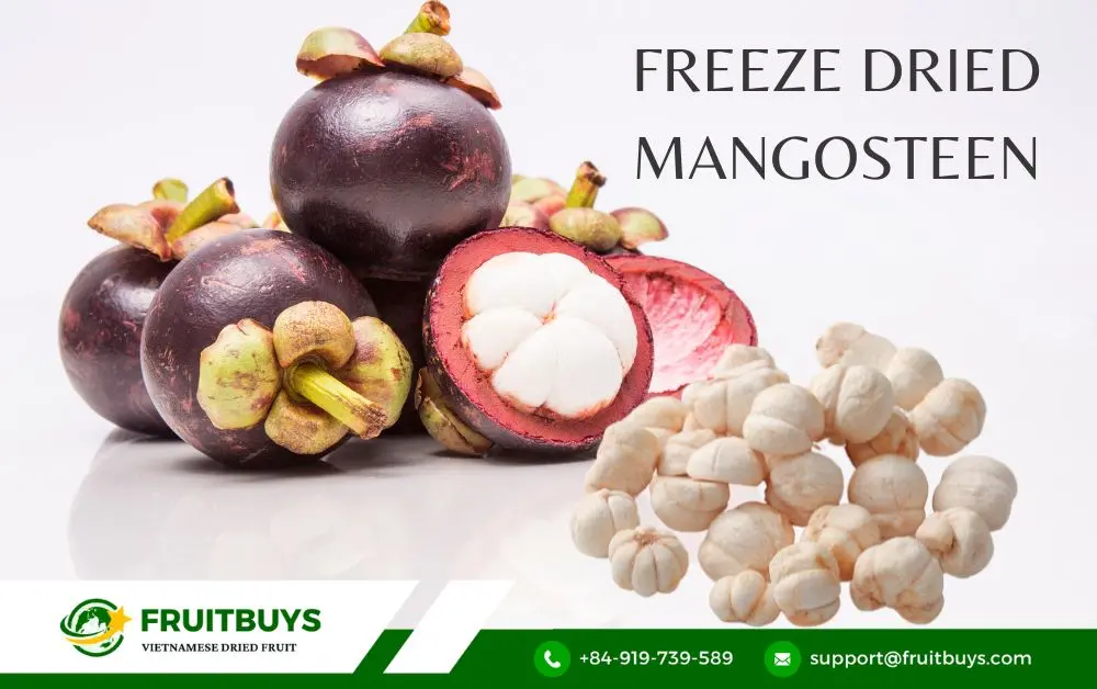 fruitbuys vietnam freeze dried mangosteen FruitBuys Vietnam Freeze Dried Mangosteen