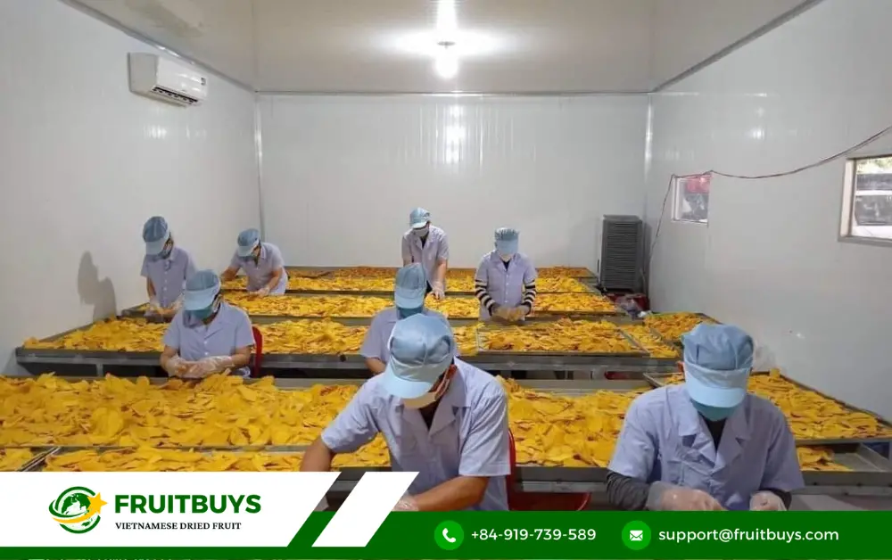 fruitbuys vietnam from farm to fork fruitbuys vietnam your trusted mango partner FruitBuys Vietnam From Farm To Fork_ FruitBuys Vietnam, Your Trusted Mango Partner