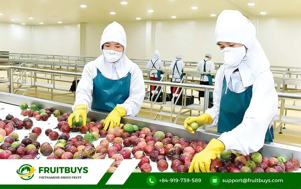 fruitbuys vietnam fruitbuys your gateway to passion fruit perfection bulk beyond FruitBuys Vietnam FruitBuys_ Your Gateway To Passion Fruit Perfection (Bulk & Beyond!)