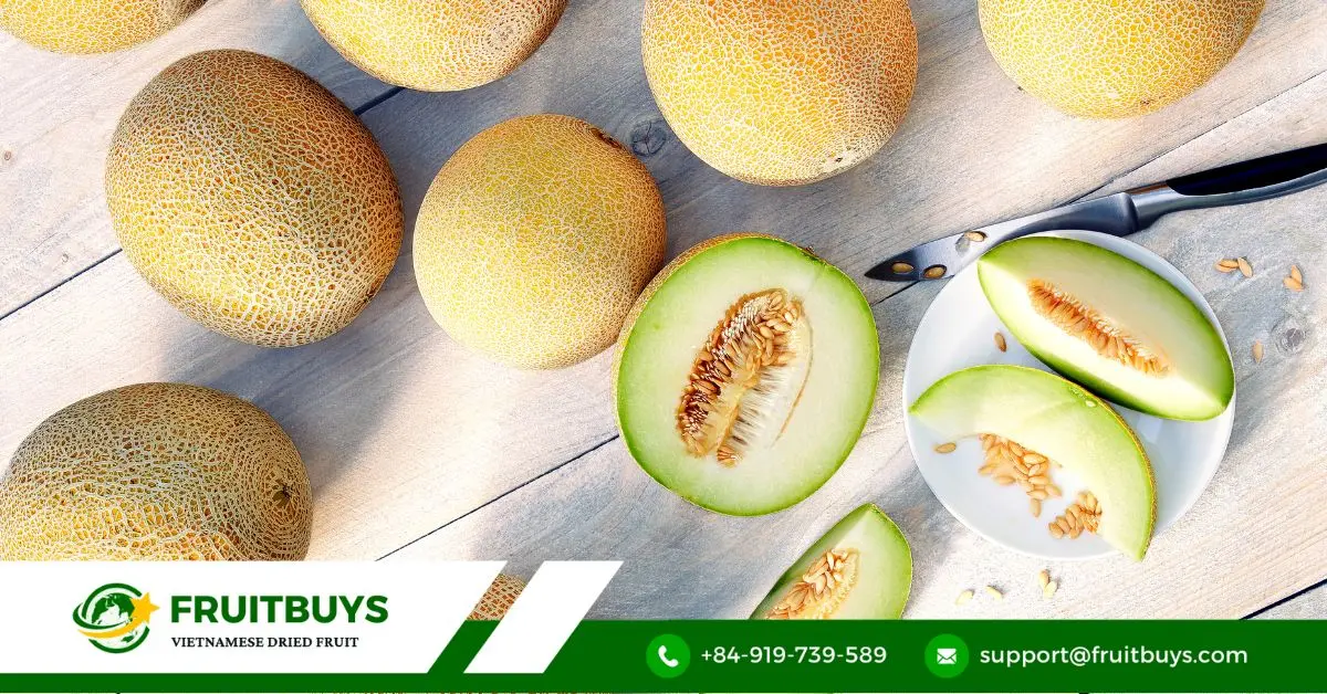 FruitBuys Vietnam Galia Cantaloupe