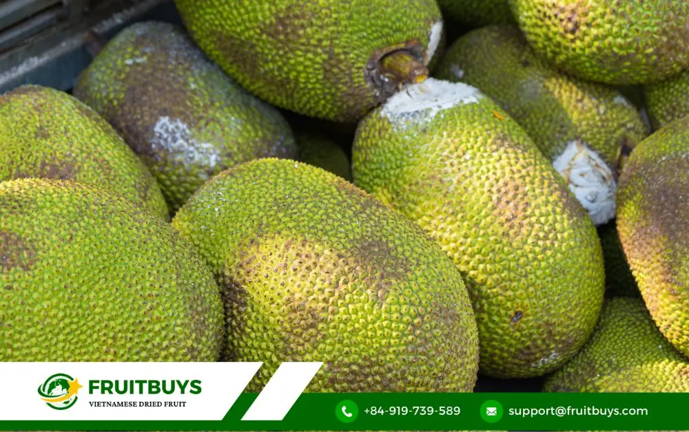 fruitbuys vietnam jackfruit FruitBuys Vietnam Jackfruit