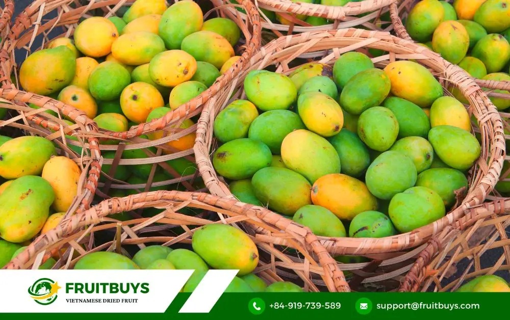 fruitbuys vietnam mango FruitBuys Vietnam Mango