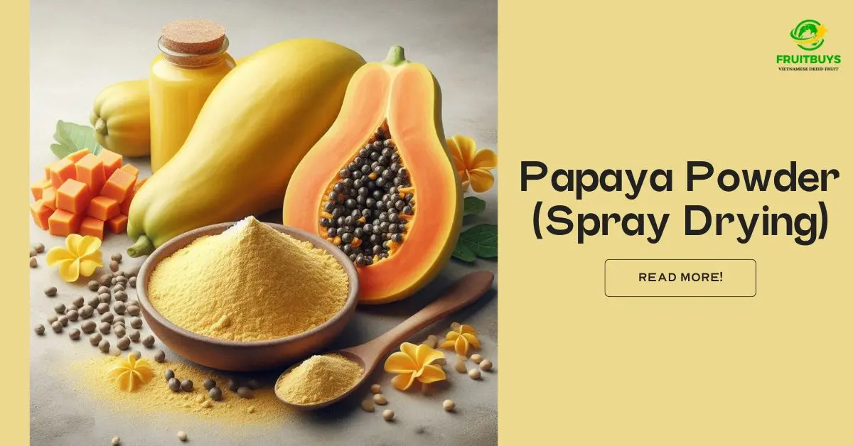 FruitBuys Vietnam Papaya Powder (Spray Drying)