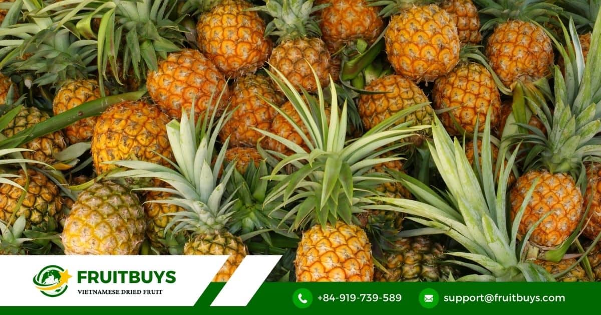 fruitbuys vietnam pineapple Pineapple