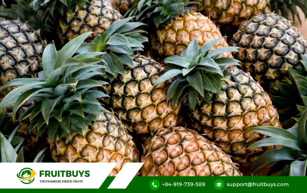 FruitBuys Vietnam Pineapple