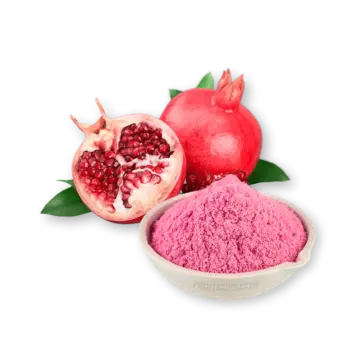 FruitBuys Vietnam Pomegranate Powder (Spray Drying)