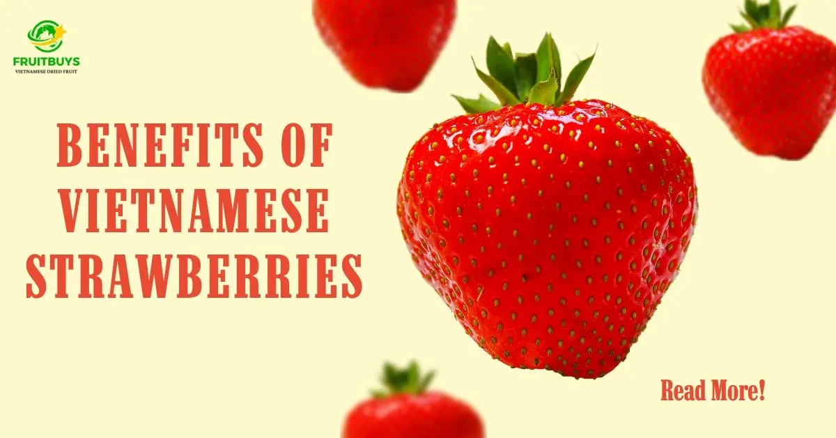 FruitBuys Vietnam READ MORE