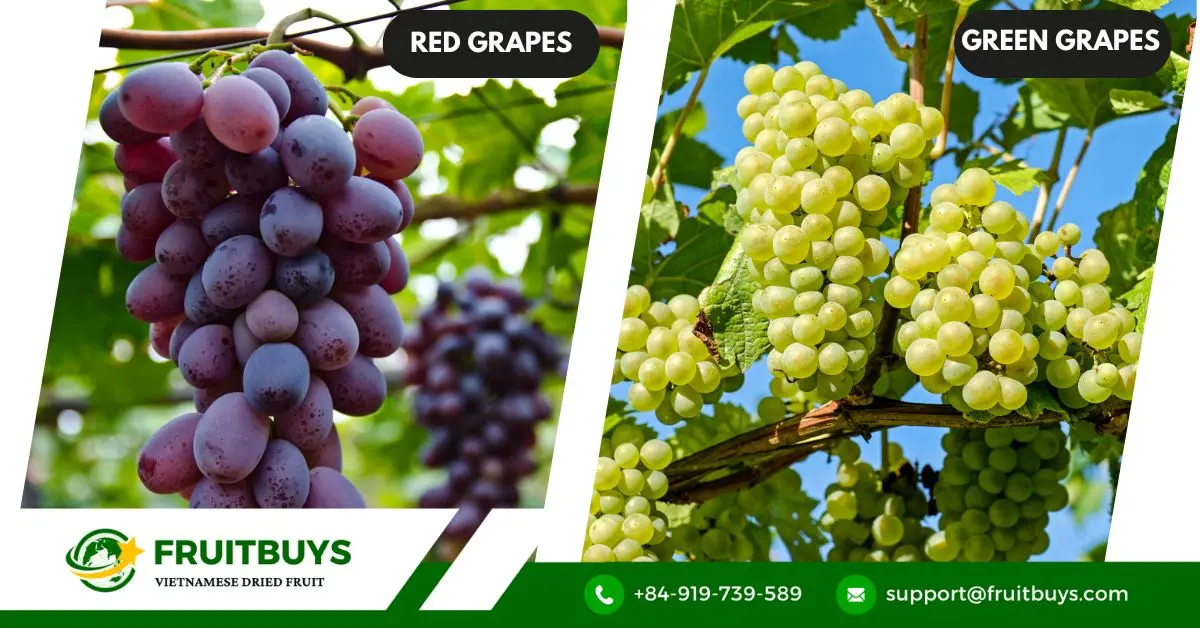 FruitBuys Vietnam Red Grape Powder (2)