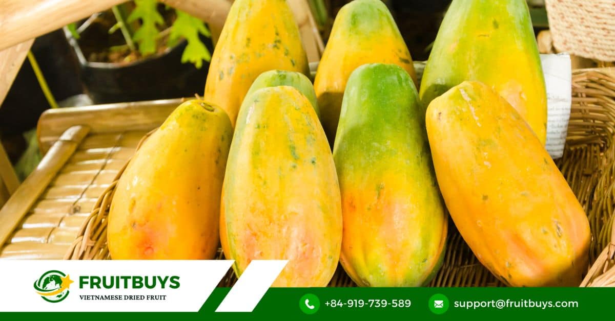 fruitbuys vietnam safe consumption of papaya warnings and precautions Safe Consumption Of Papaya Warnings And Precautions