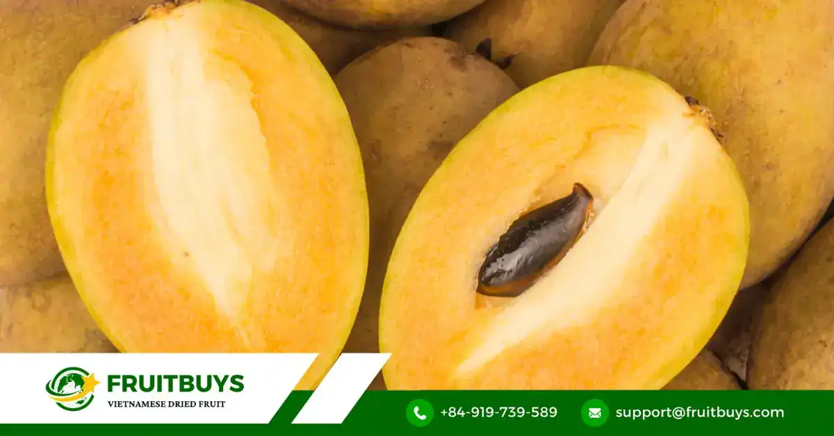 FruitBuys Vietnam Sapodilla