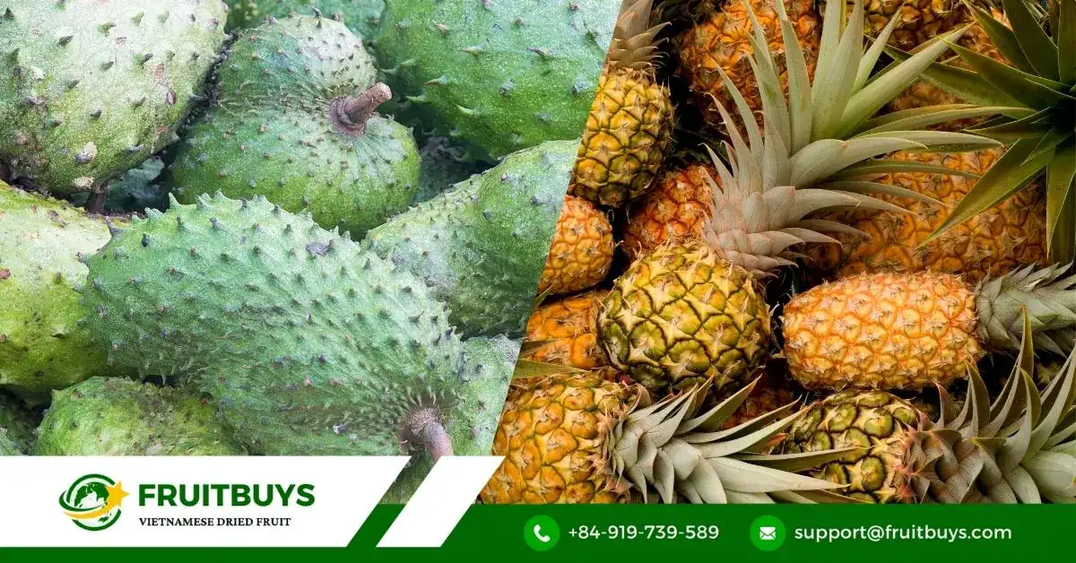 FruitBuys Vietnam Soursop (11)