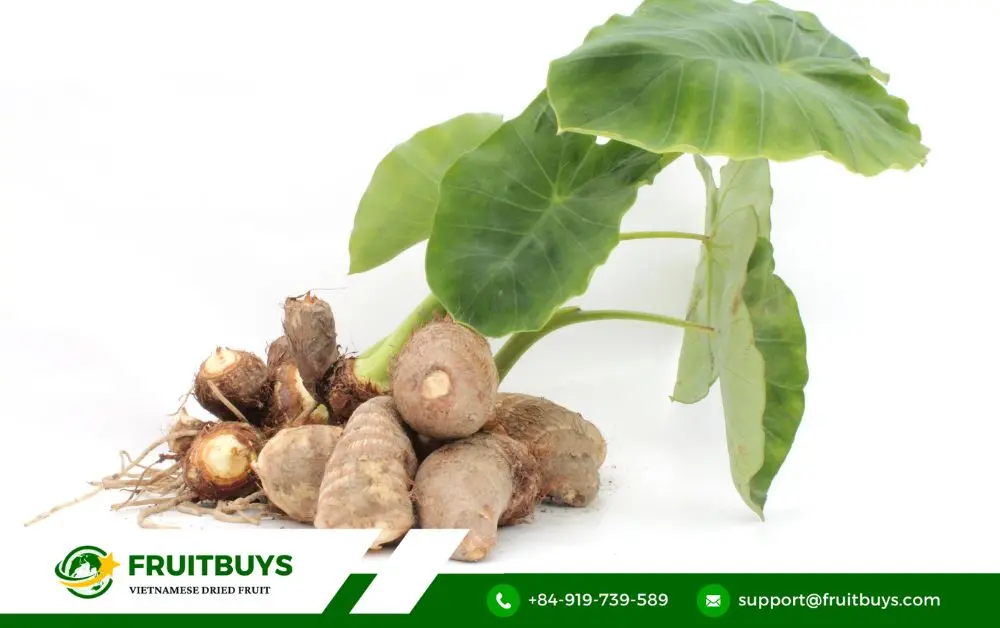 FruitBuys Vietnam Taro (1)