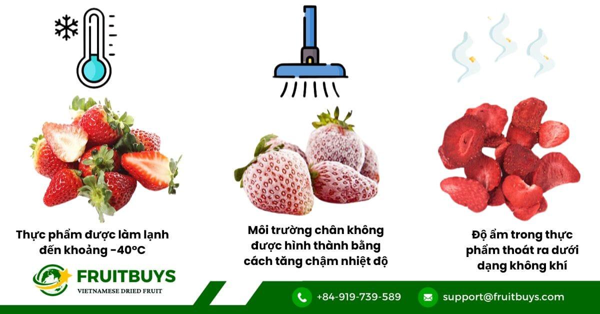 Understanding The Freeze Drying Process