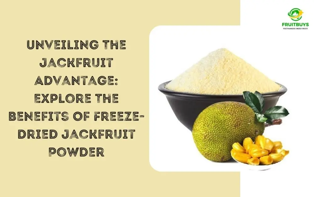 Unveiling The Jackfruit Advantage: Explore The Benefits Of Freeze-Dried Jackfruit Powder FruitBuys Vietnam Unveiling The Jackfruit Advantage Explore The Benefits Of Freeze Dried Jackfruit Powder