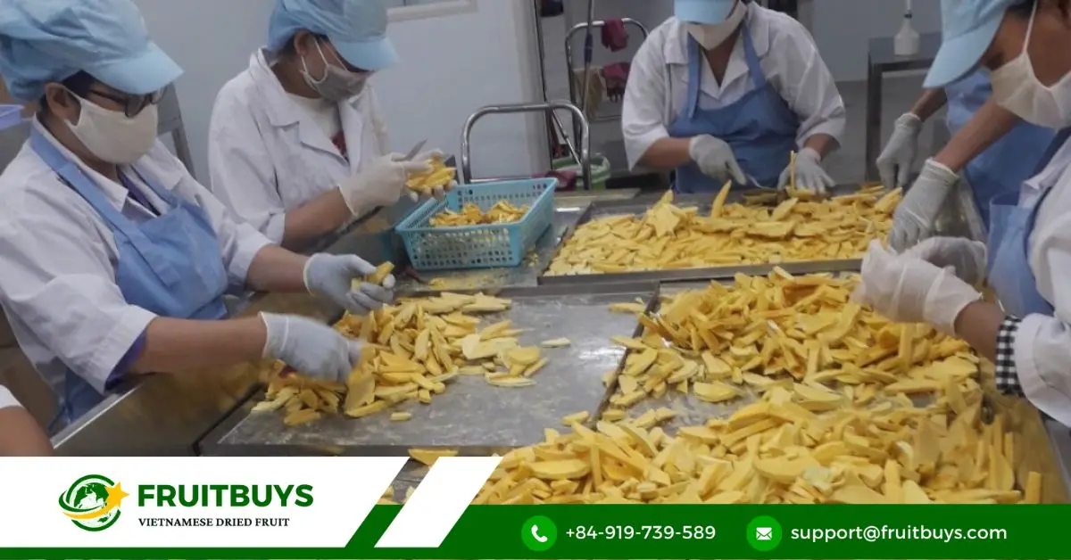 FruitBuys Vietnam Vietnam Cantaloupe (3)