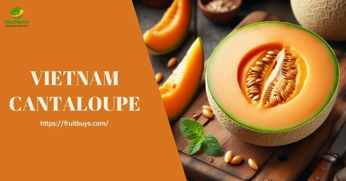 FruitBuys Vietnam VIETNAM CANTALOUPE