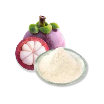 FruitBuys Vietnam W Freeze Dried Mangosteen Powder