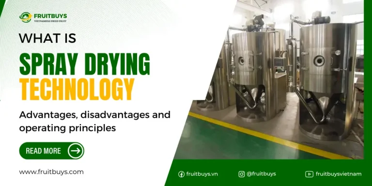 FruitBuys Vietnam   What Is Spray Drying Technology_ Advantages, Disadvantages And Operating Principles 231228