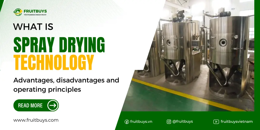 FruitBuys Vietnam   What Is Spray Drying Technology_ Advantages, Disadvantages And Operating Principles 231228