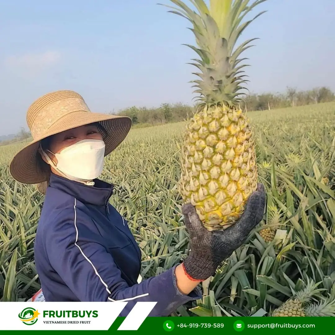 fruitbuys vietnam why choose fruitbuys vietnam FruitBuys Vietnam Why Choose FruitBuys Vietnam