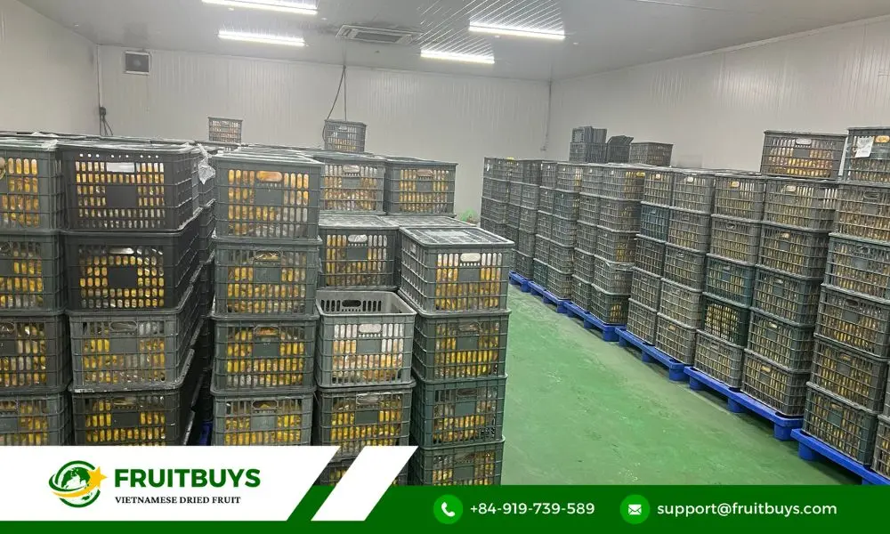 fruitbuys vietnam why choose fruitbuys vietnam your partner in mango powder perfection FruitBuys Vietnam Why Choose FruitBuys Vietnam_ Your Partner In Mango Powder Perfection