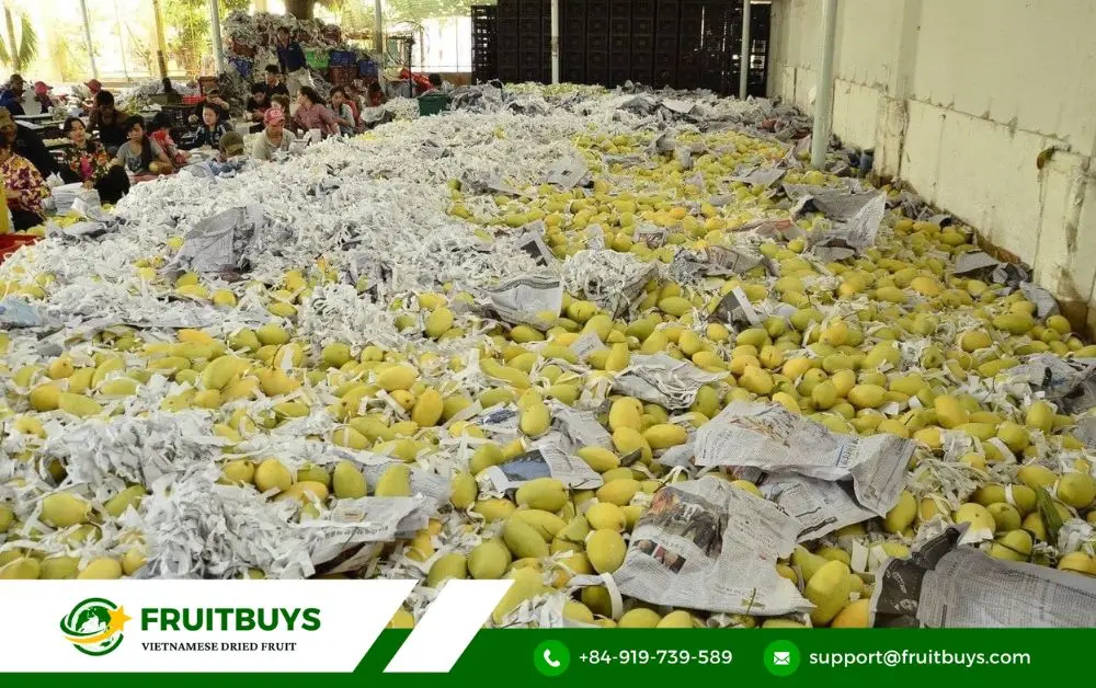 FruitBuys Vietnam Xoài